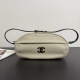 CHANEL 샤넬 코코비치 오발 파우치 숄더백 #AS6101