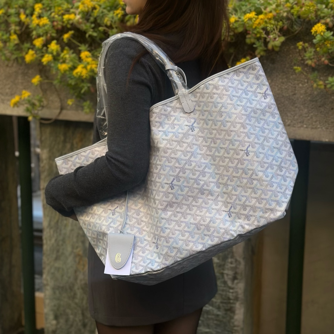 GOYARD 고야드 앙주 백 멀티컬러 리미티드 에디션 ANJOU2PMLTY