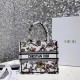 DIOR 디올