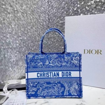 DIOR 디올