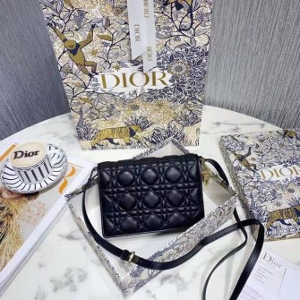 DIOR 디올