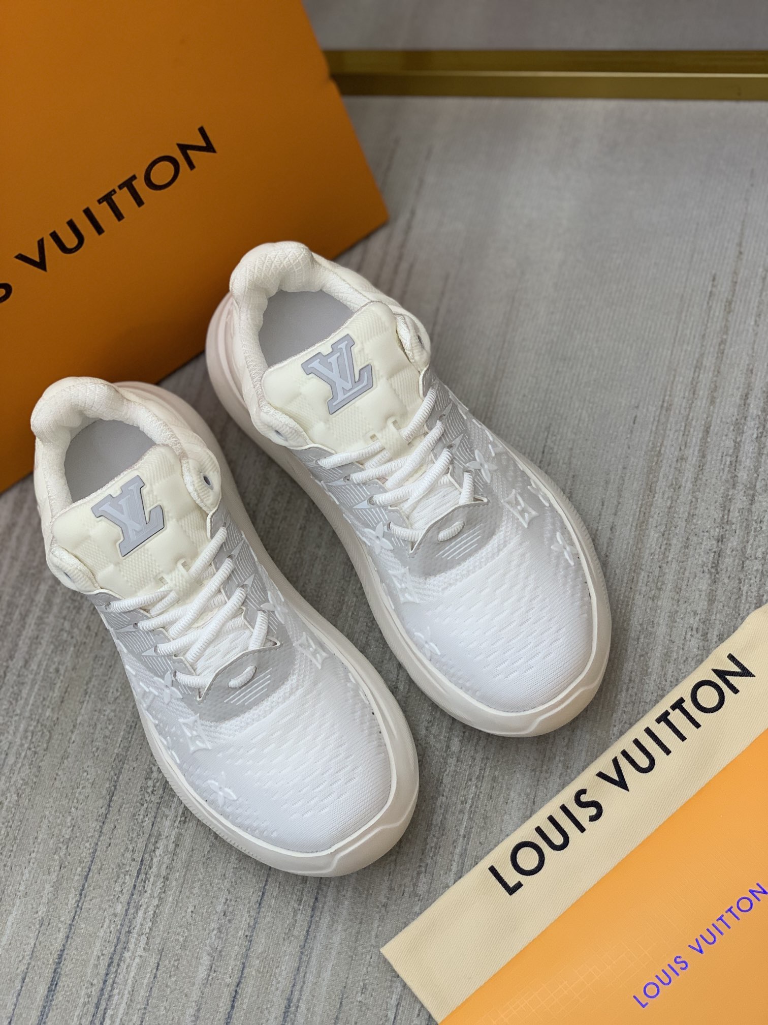 LOUIS VUITTON 루이비통 230110550