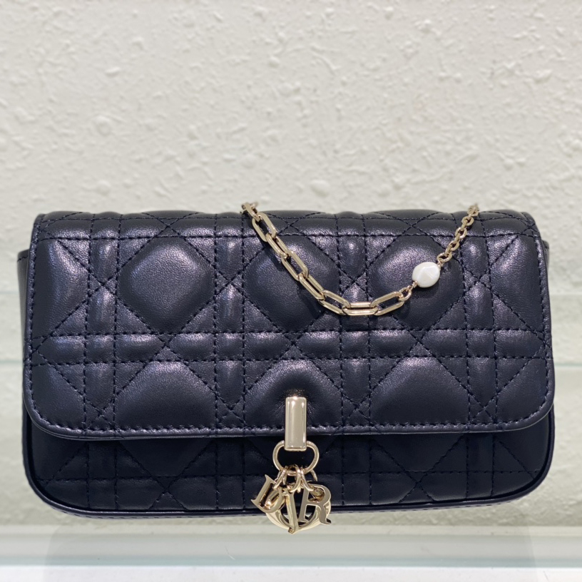DIOR 디올 가방 하이퀄리티 230221033